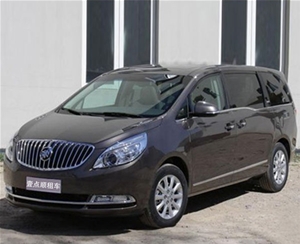 商務(wù)車(chē)（6）