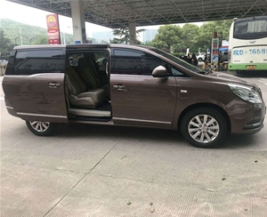 商務(wù)車(chē)（10)