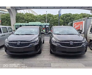 商務(wù)車(chē) (3)