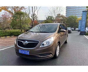 商務(wù)車(chē) (2)